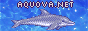 An animated banner with Ecco reading 'aquova.net
